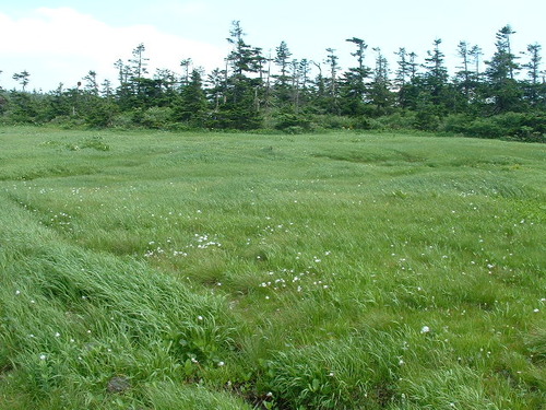DSCF0030