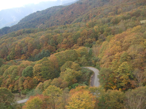 2007_1017��������0112