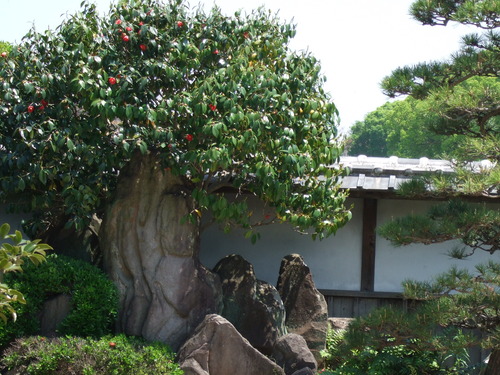 2008_0423熊本0091
