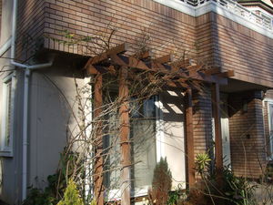 2010_0124�Ĥ�Х�Ͷ��0003