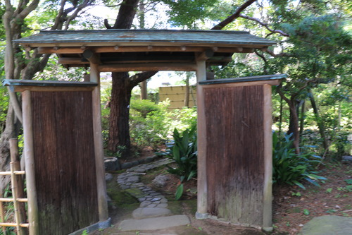 IMG_9567 - ���ԡ�