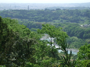 2012_0513河村城0070