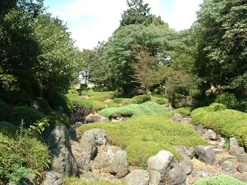 DSCF0027
