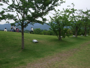 2012_0520�����ҥӡ���0002