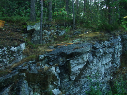 2009_0807�̲�FINEPIX0093