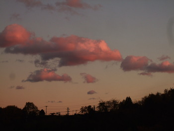 2011_1217ͼ�Ƥ�0006