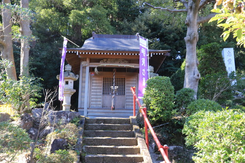 IMG_1007(1)