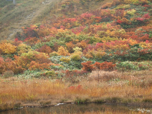 2007_1017��������0054