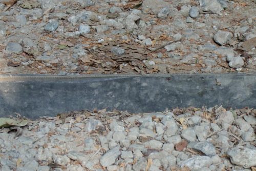 2007_1202¹ä»Ë¾»»Òº§Ìó0023