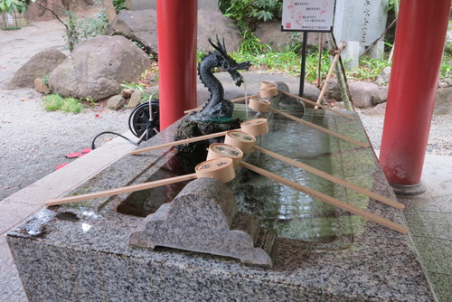 IMG_2212