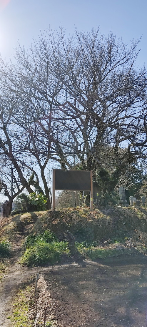 1613027265310