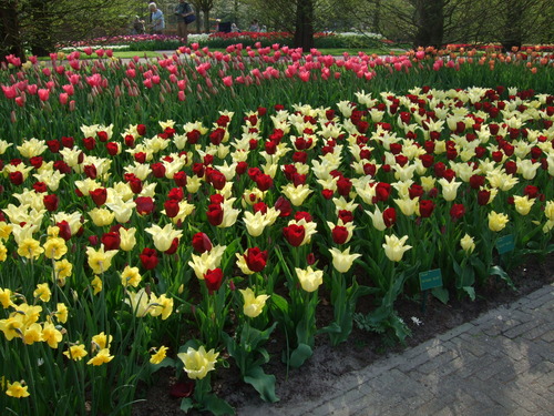 2007_0417オランダ0620