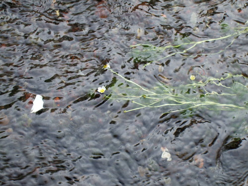 2008_0827����0034