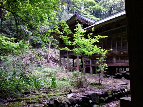 IMG_20200512_162344_BEAUTY