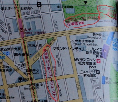 20241105ScreenShot00002