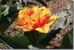 IMG_1346 IMG_1346