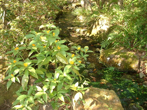 2007_1004¾®Åĸ¶ÈͶ£²0032