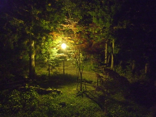 2007_1017��������0095