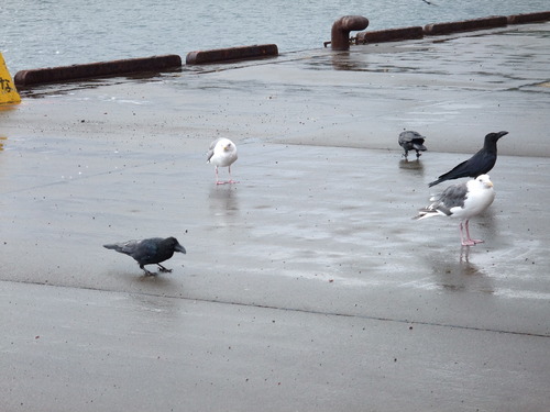 2007_0926��ʸ��������20030