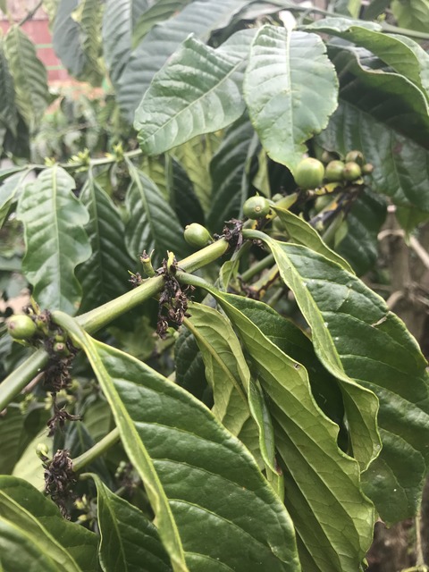 CA5BC47D-ACEC-473B-8A66-DABA904DB16B