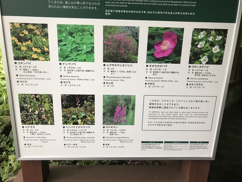 124BD3F0-5DB5-442A-98AF-6F91F57A0ADF