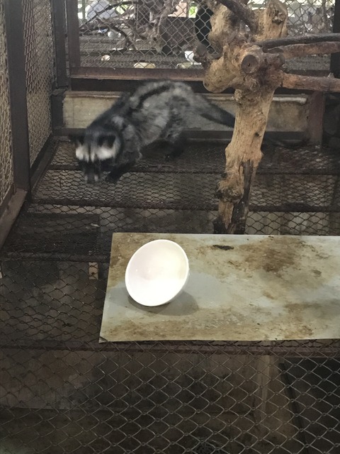 E13B5958-7968-4A2C-9DCB-86AC69D60231