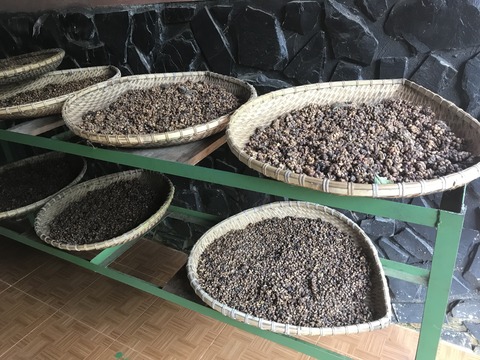 516EF8CB-2FB0-4791-8149-49DE85A2E605