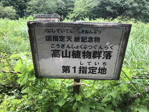 D8E683E9-F816-4730-9339-C916D8BBBEE2