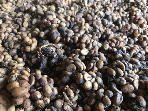 E629C480-43C1-44C0-BD73-A3DCD93948E1