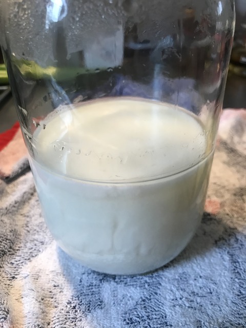 51F36553-D89A-4146-BB30-0168F521D021