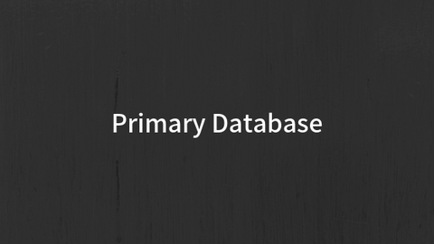 Primary Database