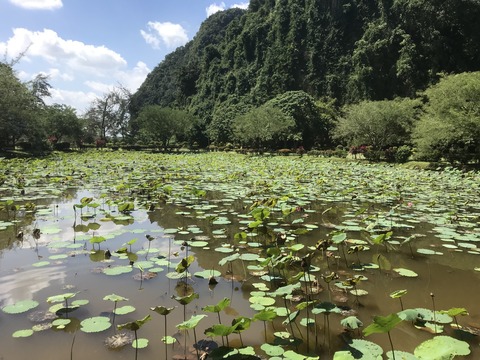 346FC583-67ED-4CE4-9F32-45F14539E70A