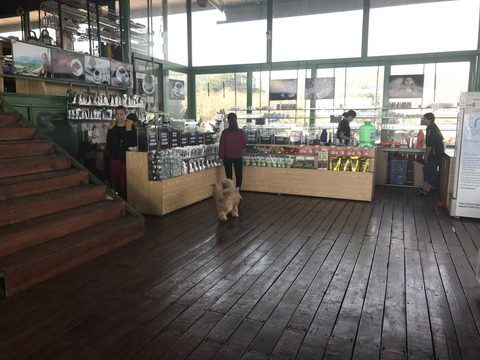 C3D81065-3FF6-4697-9B89-94FA25D0DF7F