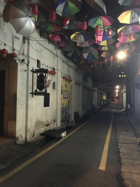 C8095D37-8013-4BD7-8E1E-79F7B5CE9614