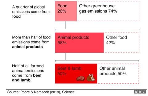 2019-08-08 20.47.27 からのスクリーンショット