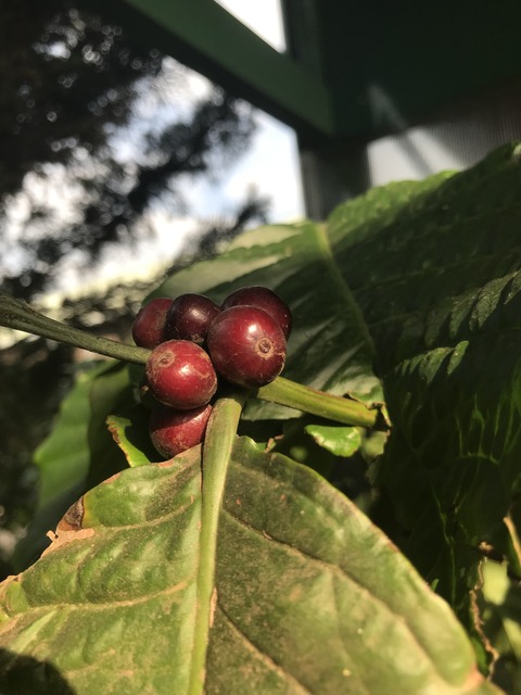 23594A84-A750-4C6A-82B6-CA0931FF9D5C