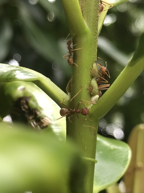 08816424-B7BB-4840-AE9B-029A67449185