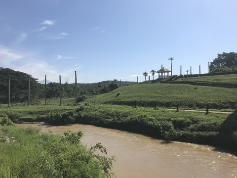 C8CC11CB-0997-4AD8-BC43-A91E1C88C026