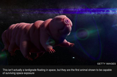 2019-08-15 22.47.31 からのスクリーンショット