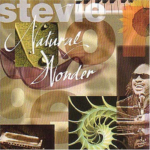 Natural Wonder Stevie Wonder 1995年 Man S Man S Man S World Natural Wonder Stevie Wonder 1995年 Man S Man S Man S World