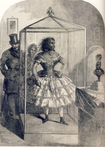 世界一醜い女性 の遺体故郷へ 死後150年を経て埋葬 おもしろきまとめかな