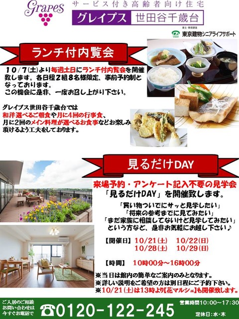 ランチ内覧兼見るだけDAY DM
