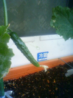4f871f99.jpg