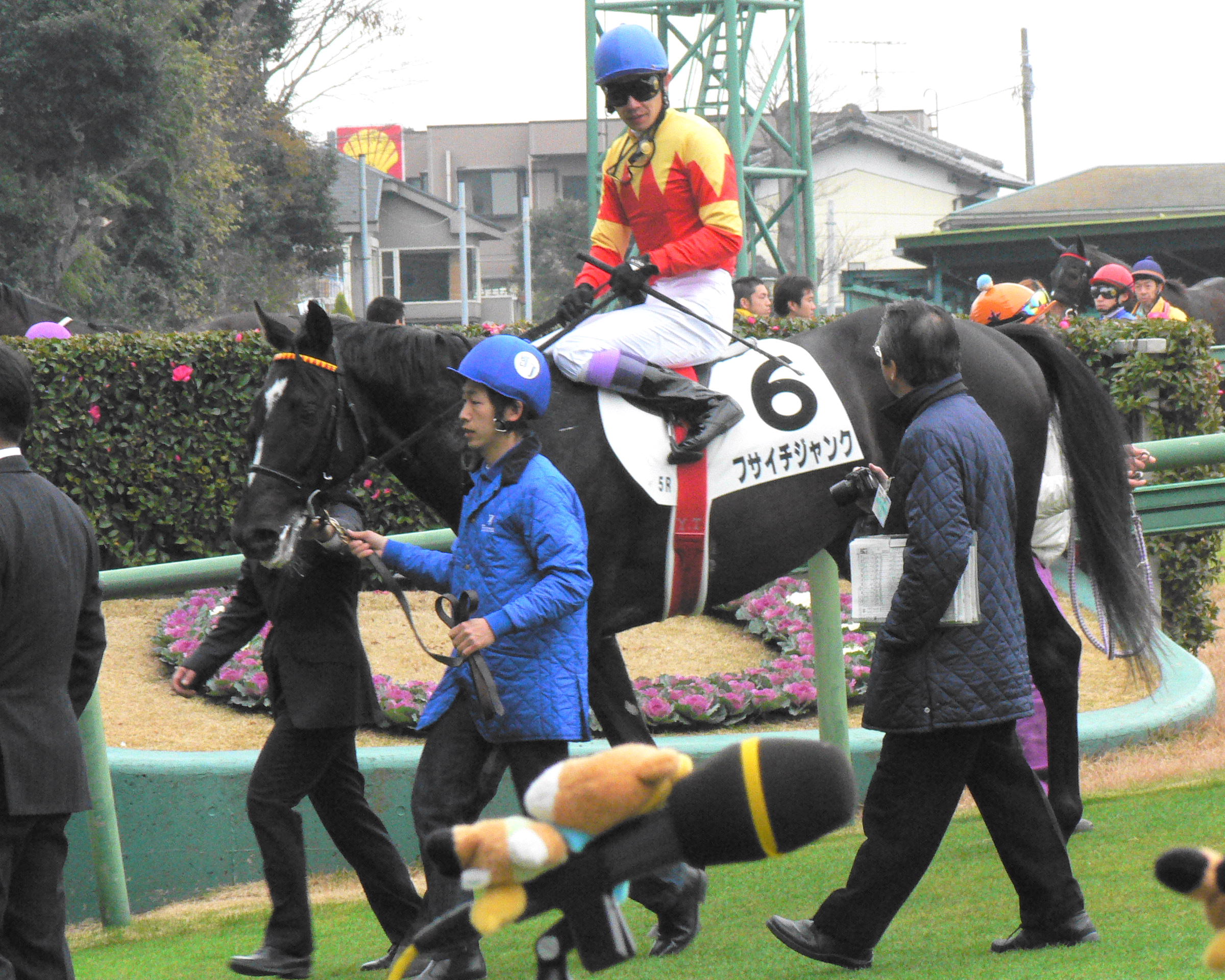 年間プラス収支を目指す競馬ブログ