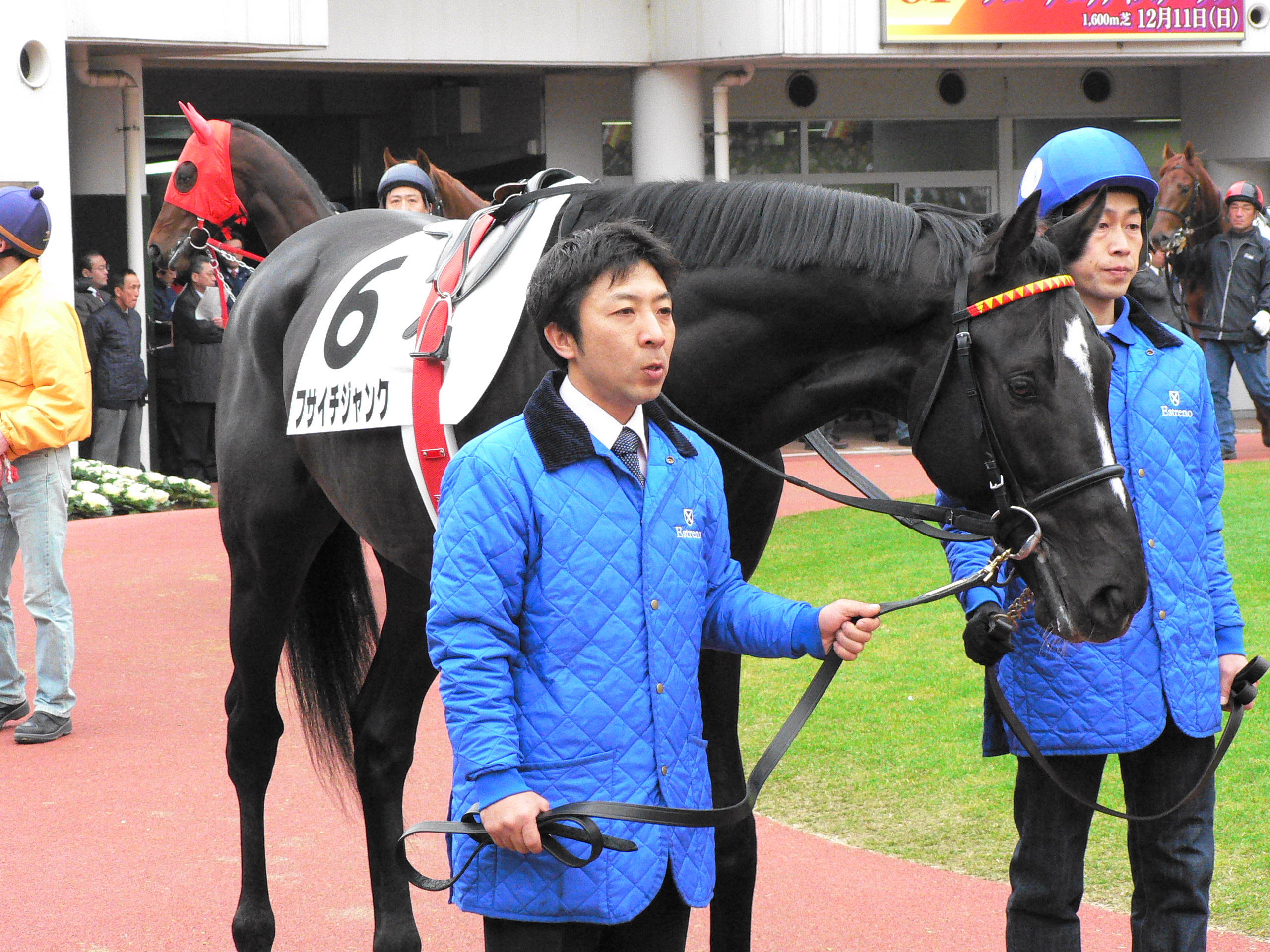 フサイチジャンク フサイチリシャール フサイチエアデール 口取写真