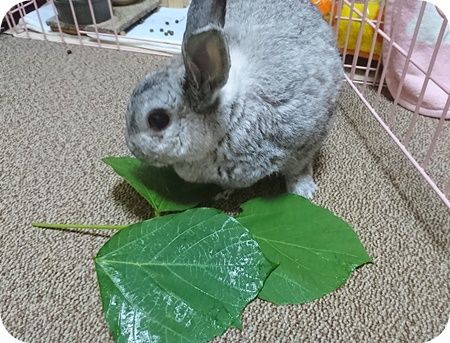 りり331