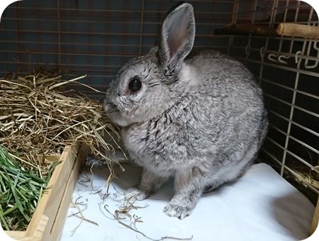 りり364