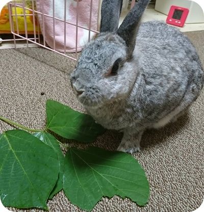 りり332