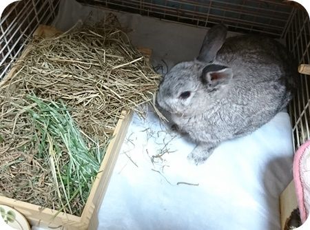 りり363