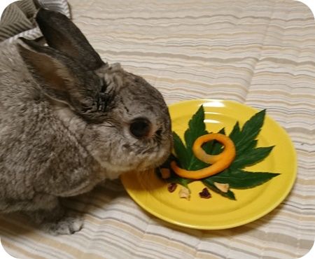 りり357